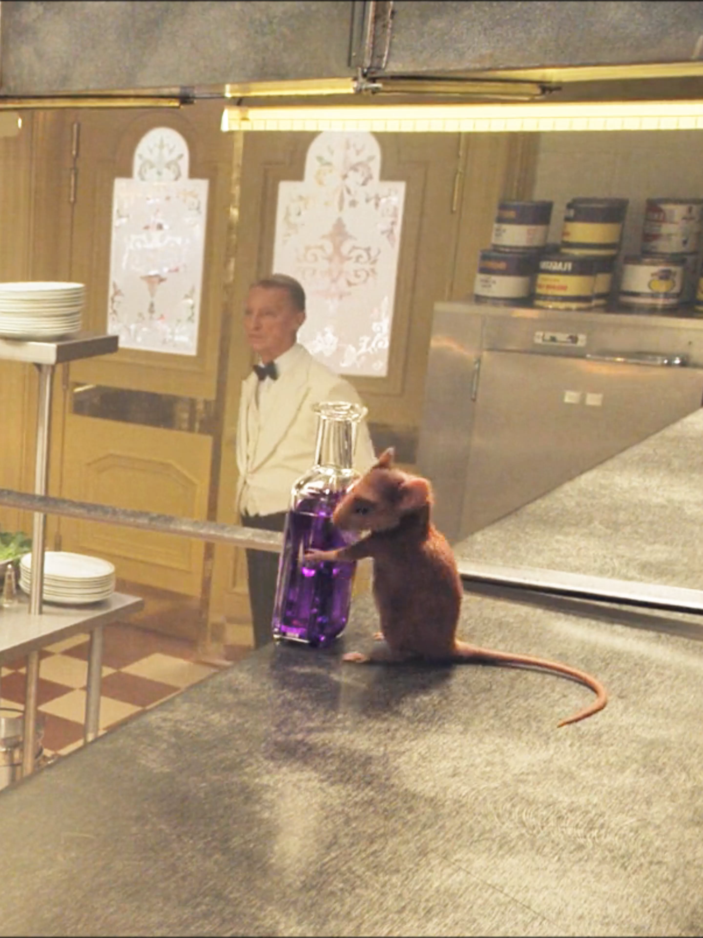 The Mouse Punished Witchs to Turn into Mice #movie #filmcommentary #foryou #usa #fyp