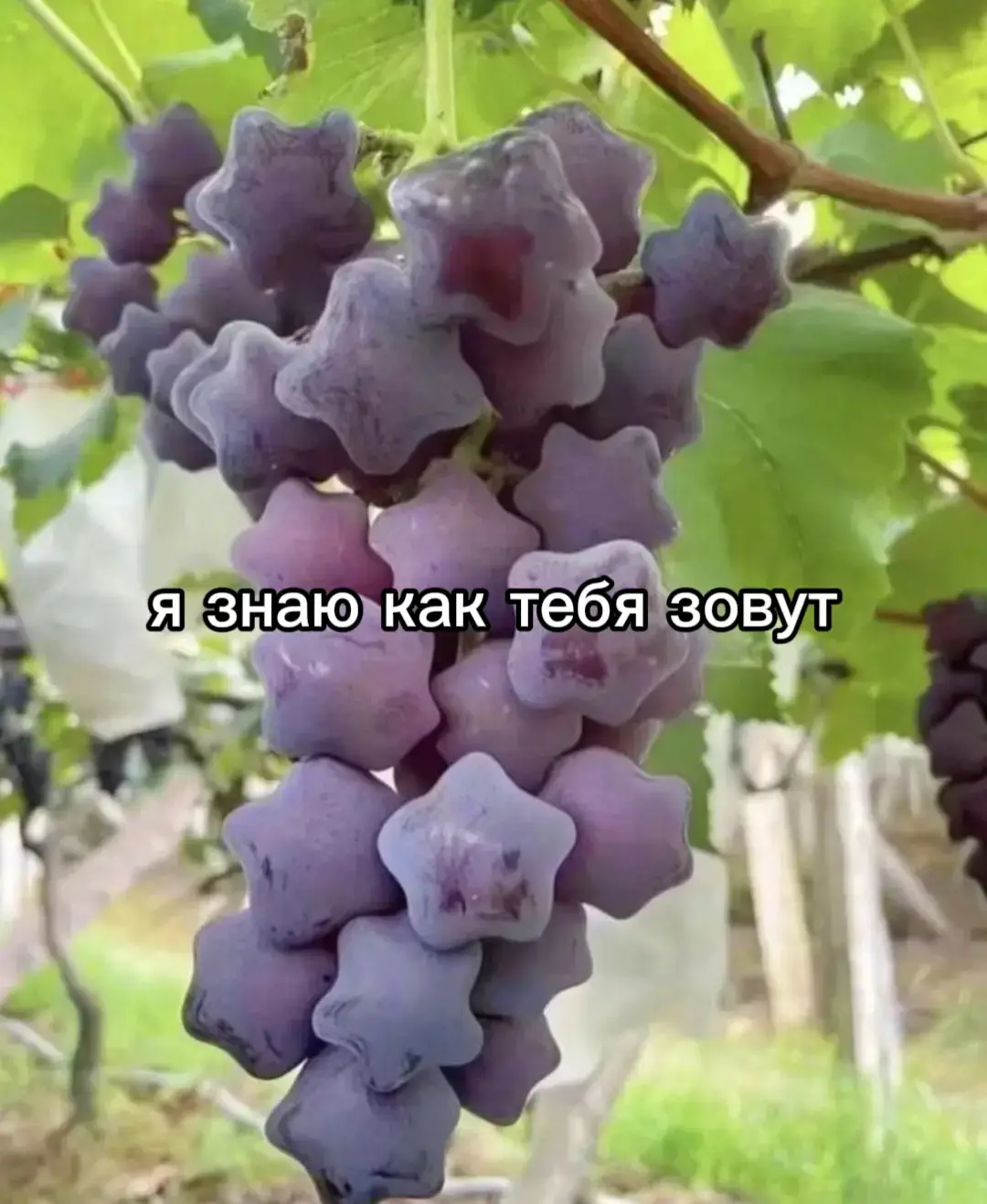 #кровать #спать 