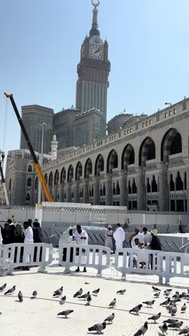 ‏الوقت الذي تقضيه وحدك ‏ تراجع فيه أمورك، تصحّح مفاهيمك تستدرك مهامك، تتأمل فيه دنياك ‏ثم تستشعر نعم الله عليك، هذا الوقت من نعيم الحياة.💗#اكسبلورexplore❥🕊 #المسجد_الحرام #اكسبلور #مكه_الان #تصويري📷 