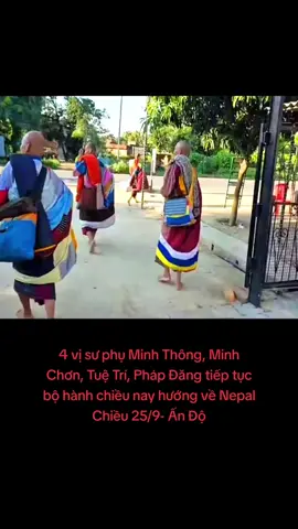 24 vị đã đi xe, còn 4 vị tiếp tục thực hiện bộ hành #xuhuong #thichminhtue #gaimienque ☘️🌸