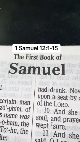 #TheLordJesusChrist #Messiah #GospelKJV #ScriptureReadingFYP #ThePrinceOfPeace 