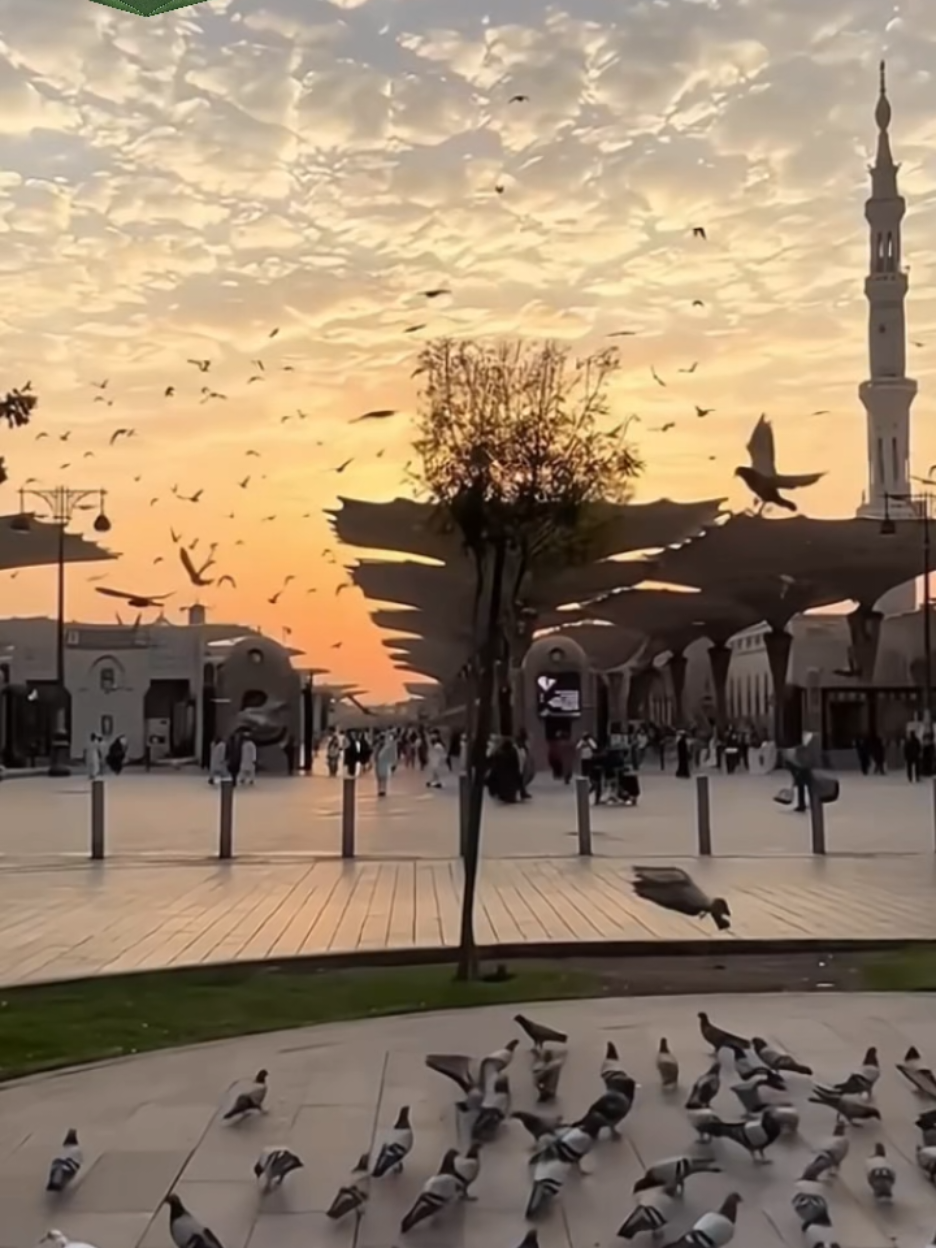 Umrah bersama Almaahiy Umrah Travel, nikmati layanan dan khusyuknya beribadah bersama Almaahiy dengan Paket Umrah Muhasabah yang menitikberatkan pada kegiatan harian jemaah Umrah selama di Makkah dan Madinah. Semua aktifitas anda akan dipandu secara detail oleh Muthawif yang berpengalaman dalam melayani jemaah dari berbagai macam latar belakang dan usia. ALMAAHIY TOURS & TRAVEL menjadi salah satu REKOMENDASI TRAVEL UMRAH dengan Program TERBAIK. Anda tidak dibiarkan beribadah dengan kebingungan selama di Tanah Suci, Garansi Almaahiy adalah Layanan yang maksimal terhadap semua aktifitas Ibadah Jemaah Umrah Kami selama di Tanah Suci.  Almaahiy Travel memiliki Tim yang pengalaman dalam memberangkatkan jamaah umrah dan menawarkan berbagai pilihan paket umrah dengan fasilitas yang lengkap. Almaahiy Travel Umrah yang terpercaya di Padang, Almaahiy Travel menyediakan jadwal keberangkatan umrah yang fleksibel dengan pilihan hotel dan fasilitas yang beragam. Almaahiy Travel memiliki komitmen untuk memberikan pelayanan terbaik bagi jamaah umrah, dan memiliki kantor pusat di Jl. Ampang Raya No. 22 Padang. Almaahiy Travel menawarkan paket umrah VIP dengan fasilitas hotel yang strategis di dekat Masjid Nabawi dan Masjidil Haram yang memberikan kenyamanan maksimal bagi jamaah. Almaahiy Travel fokus pada pelayanan berkualitas tinggi dan pengalaman umrah yang tak terlupakan bagi setiap pelanggan. Almaahiy Travel menawarkan paket umrah Ramadhan dengan harga yang kompetitif dan Penerbangan Langsung. Rekomendasi Travel Umrah Padang, Rekomendasi Travel Umrah Sumbar. ﻫـــﻮ ۞ ﺍﻟﻠﻪ ۞ ﺍﻟﺮﺣﻤﻦ ۞ ﺍﻟﺮﺣﻴﻢ ۞ ﺍﻟﻤﻠﻚ ۞ ﺍﻟﻘﺪﻭﺱ ۞ ﺍﻟﺴﻼﻡ ۞ ﺍﻟﻤﺆﻣﻦ ۞ ﺍﻟﻤﻬﻴﻤﻦ ۞ ﺍﻟﻌﺰﻳﺰ ۞ ﺍﻟﺠﺒﺎﺭ ﺍﻟﻤﺘﻜﺒﺮ ۞ ﺍﻟﺨﺎﻟﻖ ۞ ﺍﻟﺒﺎﺭﺉ ۞ ﺍﻟﻤﺼﻮﺭ ۞ ﺍﻟﻐﻔﺎﺭ ۞ ﺍﻟﻘﻬﺎﺭ ۞ ﺍﻟﻮﻫﺎﺏ ۞ ﺍﻟﺮﺯﺍﻕ ۞ ﺍﻟﻔﺘﺎﺡ ۞ ﺍﻟﻌﻠﻴﻢ ۞ ﺍﻟﻘﺎﺑﺾ ۞ ﺍﻟﺒﺎﺳﻂ ۞ ﺍﻟﺨﺎﻓﺾ ۞ ﺍﻟﺮﺍﻓﻊ ۞ ﺍﻟﻤﻌﺰ ۞ ﺍﻟﻤﺬﻝ ۞ ﺍﻟﺴﻤﻴﻊ ۞ ﺍﻟﺒﺼﻴﺮ ۞ ﺍﻟﺤﻜﻢ ۞ ﺍﻟﻌﺪﻝ ۞ ﺍﻟﻠﻄﻴﻒ ۞ ﺍﻟﺨﺒﻴﺮ ۞ ﺍﻟﺤﻠﻴﻢ ۞ ﺍﻟﻌﻈﻴﻢ ۞ ﺍﻟﻐﻔﻮﺭ ۞ ﺍﻟﺸﻜﻮﺭ ۞ ﺍﻟﻌﻠﻲ ۞ ﺍﻟﻜﺒﻴﺮ ۞ ﺍﻟﺤﻔﻴﻆ ۞ ﺍﻟﻤﻘﻴﺖ ۞ ﺍﻟﺤﺴﻴﺐ ۞ ﺍﻟﺠﻠﻴﻞ ۞ ﺍﻟﻜﺮﻳﻢ ۞ ﺍﻟﺮﻗﻴﺐ ۞ ﺍﻟﻤﺠﻴﺐ ۞ ﺍﻟﻮﺍﺳﻊ ۞ ﺍﻟﺤﻜﻴﻢ ۞ ﺍﻟﻮﺩﻭﺩ ۞ ﺍﻟﻤﺠﻴﺪ ۞ ﺍﻟﺒﺎﻋﺚ ۞ ﺍﻟﺸﻬﻴﺪ ۞ ﺍﻟﺤﻖ ۞ ﺍﻟﻮﻛﻴﻞ ۞ ﺍﻟﻘﻮﻱ ۞ ﺍﻟﻤﺘﻴﻦ ۞ ﺍﻟﻮﻟﻲ ۞ ﺍﻟﺤﻤﻴﺪ ۞ ﺍﻟﻤﺤﺼﻲ ۞ ﺍﻟﻤﺒﺪﺉ ۞ ﺍﻟﻤﻌﻴﺪ ۞ ﺍﻟﻤﺤﻴﻲ ۞ ﺍﻟﻤﻤﻴﺖ ۞ ﺍﻟﺤﻲ ۞ ﺍﻟﻘﻴﻮﻡ ۞ ﺍﻟﻮﺍﺟﺪ ۞ ﺍﻟﻤﺎﺟﺪ ۞ ﺍﻟﻮﺍﺣﺪ ۞ ﺍﻷﺣﺪ ۞ ﺍﻟﺼﻤﺪ ۞ ﺍﻟﻘﺎﺩﺭ ۞ ﺍﻟﻤﻘﺘﺪﺭ ۞ ﺍﻟﻤﻘﺪﻡ ۞ ﺍﻟﻤﺆﺧﺮ ۞ ﺍﻷﻭﻝ ۞ ﺍﻵﺧﺮ ۞ ﺍﻟﻈﺎﻫﺮ ۞ ﺍﻟﺒﺎﻃﻦ ۞ ﺍﻟﻮﺍﻟﻲ ۞ ﺍﻟﻤﺘﻌﺎﻟﻲ ۞ ﺍﻟﺒﺮ ۞ ﺍﻟﺘﻮﺍﺏ ۞ ﺍﻟﻤﻨﺘﻘﻢ ۞ ﺍﻟﻌﻔﻮ ۞ ﺍﻟﺮﺀﻭﻑ ۞ ﻣﺎﻟﻚ ۞ ﺍﻟﻤﻠﻚ ۞ ﺫﻭ ﺍﻟﺠﻼﻝ ﻭ ﺍﻹﻛﺮﺍﻡ ۞ ﺍﻟﻤﻘﺴﻂ ۞ ﺍﻟﺠﺎﻣﻊ ۞ ﺍﻟﻐﻨﻲ ۞ ﺍﻟﻤﻐﻨﻲ ۞ ﺍﻟﻤﺎﻧﻊ ۞ ﺍﻟﻀﺎﺭ ۞ ﺍﻟﻨﺎﻓﻊ ۞ ﺍﻟﻨﻮﺭ ۞ ﺍﻟﻬﺎﺩﻱ ۞ ﺍﻟﺒﺪﻳﻊ ۞ ﺍﻟﺒﺎﻗﻲ ۞ ﺍﻟﻮﺍﺭﺙ ۞ ﺍﻟﺮﺷﻴﺪ ۞ ﺍﻟﺼﺒﻮﺭ ۞ #umrah #nabawi #madinah #almaahiytravel #umrahdaripadang 