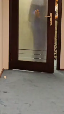 النائب حيدر شيخان الجبوري عضو الجنة الخدمات والأعمار النيابية #مجلس_النواب_العراقي