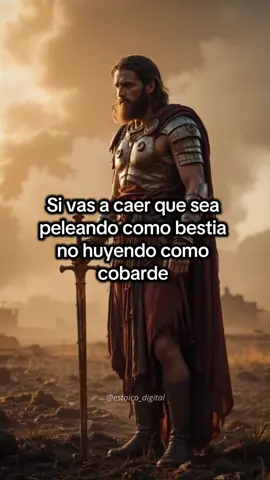Si vas a caer que sea peleando🛡️⚔️ #estoico #parati #viral #reflexion #consejos 