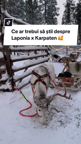 IG: @mika.nita (acolo gasiti mai milte detalii în highlights). Anul trecut am fost într-o călătorie de-a dreptul magică în Laponia, țara lui Moș Crăciun 🎅  Așa că m-am gândit să fac un reel în care să povestesc câteva lucruri pe care, cred eu, ar trebui să le știi înainte de a ajunge acolo.  Eu am fost cu @Karpaten Turism - o agenție pe care o recomand sincer. Puteți vedea la ei mai multe detalii despre pachetele lor.  PS: Dacă te interesează această locație, să știi că voi mai posta câteva reel-uri despre ea 🤩