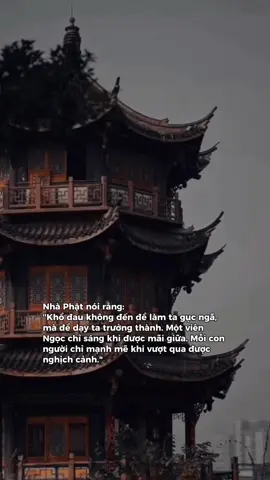 NAM MÔ A DI ĐÀ PHẬT 🙏🍀#phatphapnhiemmau #daophattrongtraitimtoi #binhyen #loiphatday #viraltiktok 