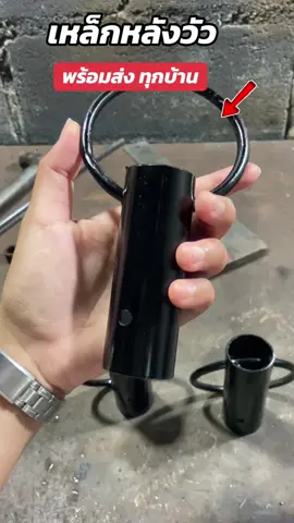 #เหล็กหลังวัว #เหล็กเดินวัว #เหล็กวัว #เหล็กจูงวัว #วัวชน 