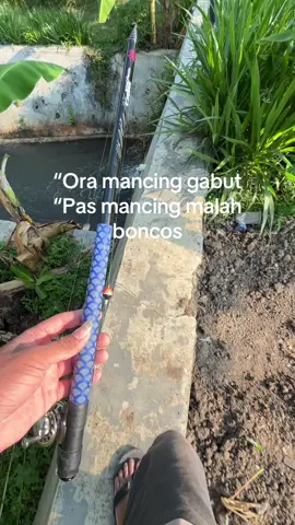 awuren😹 #fyp #mancing #storymancing #sragen24jam 