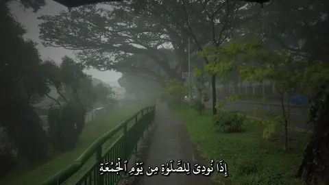 إِذَا نُودِيَ لِلصَّلَوٰةِ مِن يَوۡمِ ٱلۡجُمُعَةِ  ) ____________________________ سورة الجمعة | ماهر المعيقلي  ____________________________ #quran #quran_alkarim #قران_كريم #تلاوة_خاشعة #ماهرالمعيقلي 