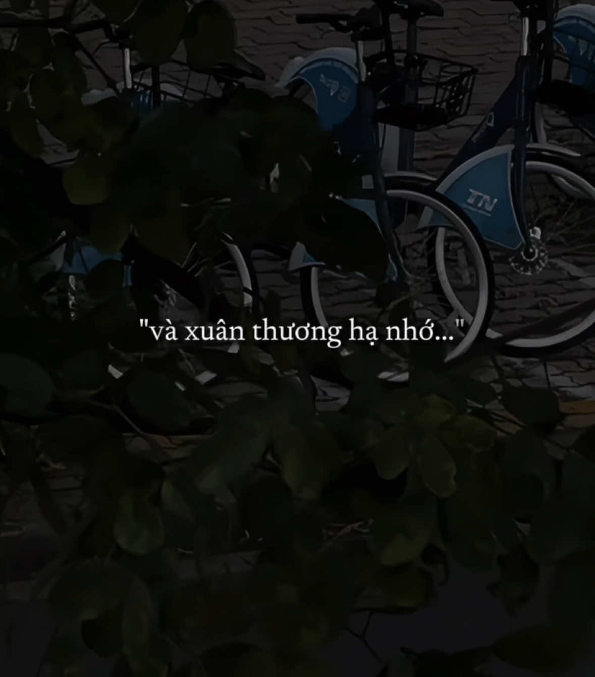 và xuân thương hạ nhớ, để thu buồn đông úa tàn..