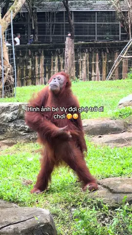 Đúng hông Vy ơi 🤗 #VinWonders #GreenCreator #dulich #viral #dongvat 