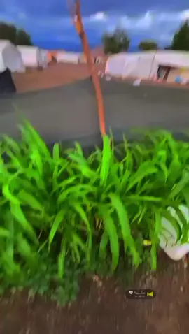 #مسلمان @طـيـﮯآويـﮯ آلعز♕♡ @ابن ادلب افتخر 