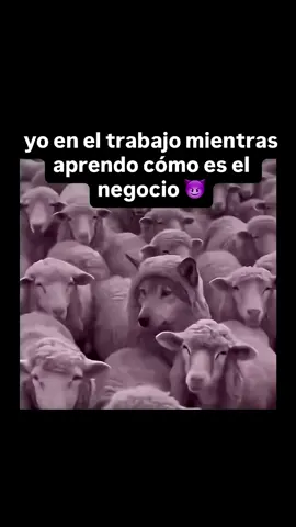 No te desenfoque?💯🧠📌#destacarmeee #millonario #todo #motivational #motivationalvideos 