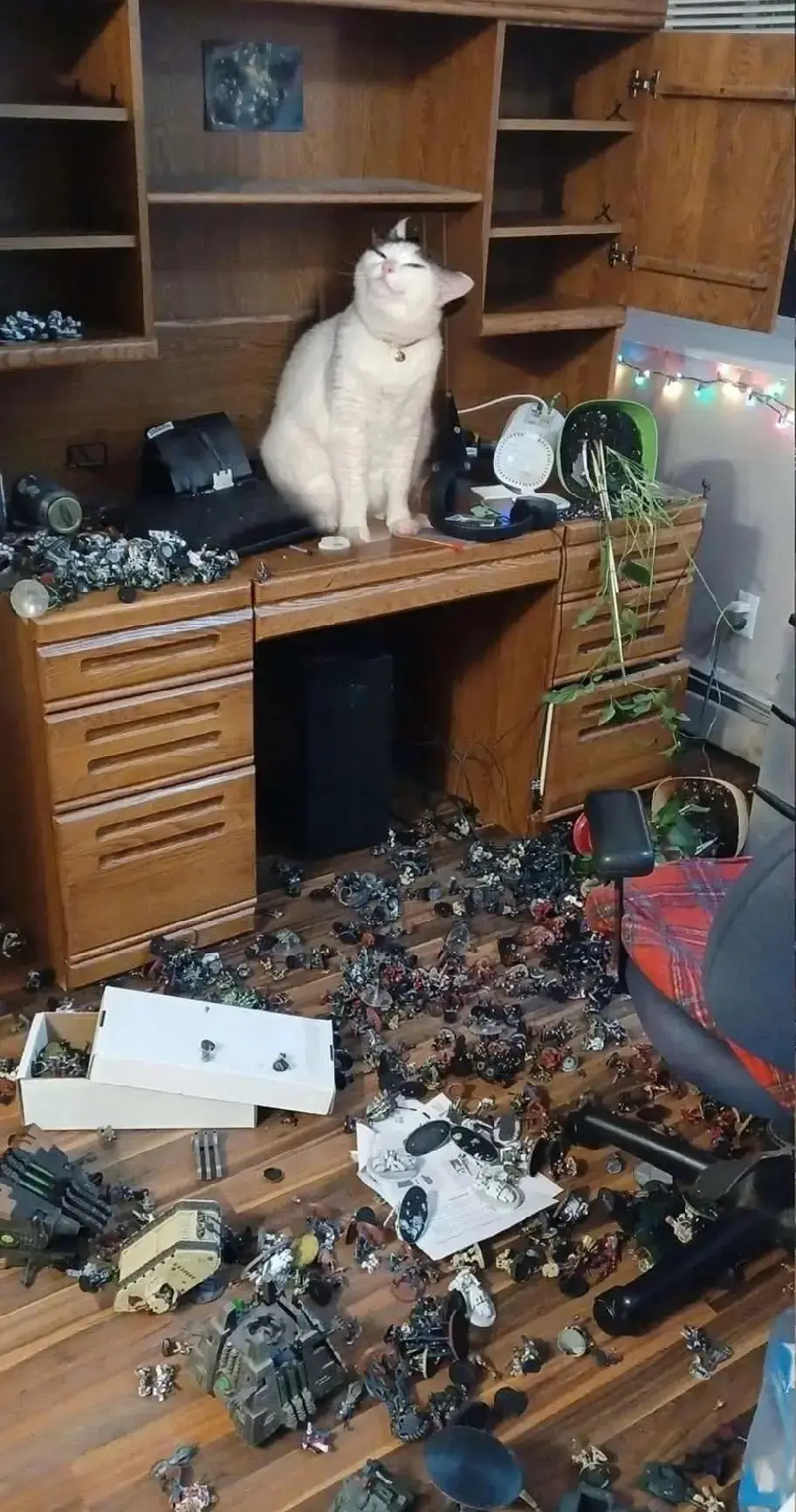 หน้าตาดูภูมิใจสุดไ