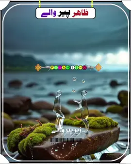 ہک وقت ہئی ساڈیاں سنگتاں ہن#سرائیکی_سٹیٹس،سرائیکی۔سونگ🌹  #سرائیکی_سٹیٹس،ویڈیو  #سرائیکی۔سونگ🌹✌️❣️ #اسٹیٹس۔۔۔۔۔۔۔۔۔۔❤ #اسٹیٹس_وائیرل                                           Tiktok team Unfreeze my Accounts  pangabseu4u@🔥میاں  عامر  شاعری✍️ @🌹مخلـــص گرافــــی💔 @احترام عشق 3.0 