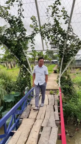 Men tiêu hóa chuyên dùng cho gà #mentieuhoathaoduoc #xuhuong #mentieuhoa #mentieuhoachoga #yeuthuongdongvat 