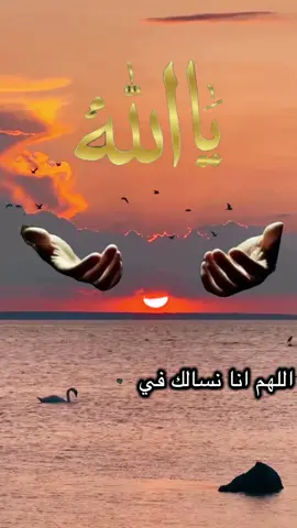 اللهم في ليله الجمعه🤍🕊️ #اللهم #في #ليله #الجمعه #دعاء 