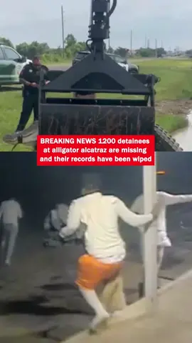 #alligatoralcatraz #immigration #democrat #liberal 