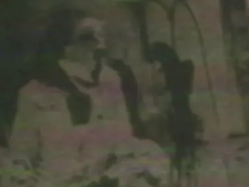 My Vocal, my song. underground  #blackmetalhead #depresionanxiety #blackmetal #decalius #dsbm 