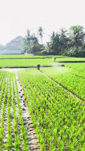 Tes tes 😅 #Sobattani 