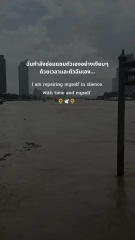 #CapCut #สตอรี่ความรู้สึก #อย่าปิดการมองเห็นหนู 