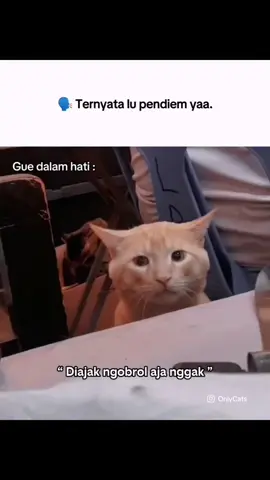 Masa Harus Ngomong Sendiri Gila Kali 😩