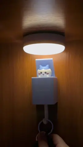 Phát hiện một em Hachiware #xuhuong #fyp #trending #xuhuongtiktok #viral 