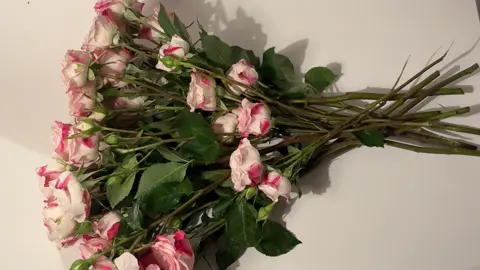 #ورد#fupシ ❤️❤️