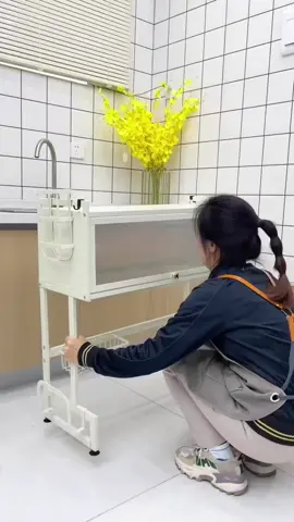 Kệ úp chén dĩa đa năng có nắp đậy. #keupchen  #zihome #keupchendia #kechen #kechenbatdanang 