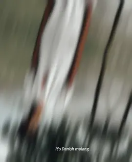 #pppppppppppppppoooo #foryou #🤙🤙 