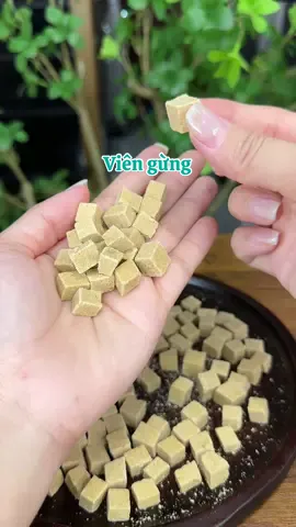 Thời tiết thay đổi thất thường thì nên thủ sẵng trong nhà 1 hủ viên gừng nhé mn ơi #viengunggiamho #viengungankhuong #vienngamgungankhuong #diemthuyriviu  