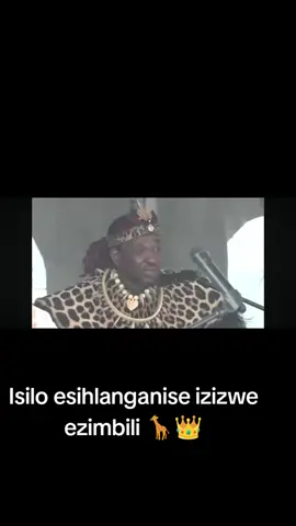 @Lubabalo-Zizi Ndima 
