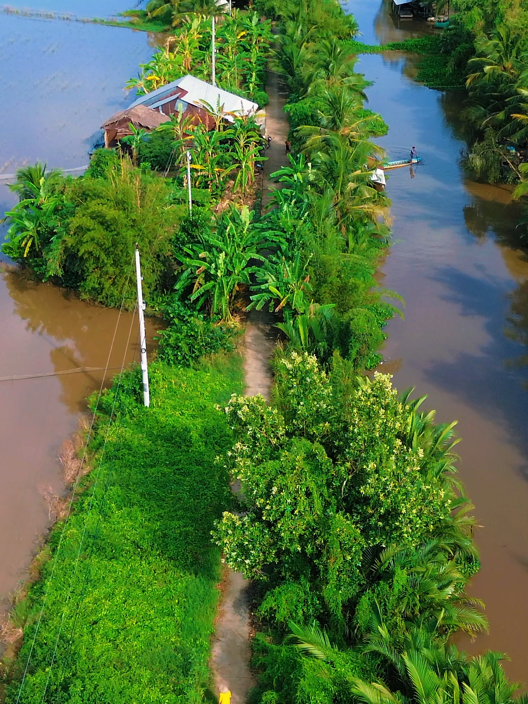 Câu thề câu hứa.. Cảnh đẹp miền tây #huynhphutien #mientay