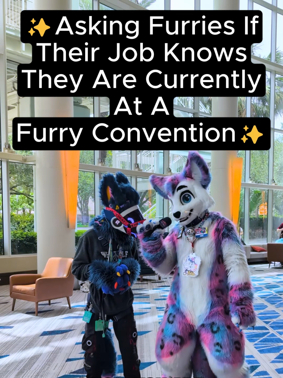 ✨🤔How About You, Would You Tell Your Job That You Went To a Furry Convention?? 🤔✨ Meow a meow Everyone! Let's ask a bunch of fursuiters at Megaplex if they told their job that they were going to a furry convention! Their answers might surprise you!  For me, while my family and close friends know about my fluffy life, there's nothing wrong with a little separation and letting work think that you're just visiting friends or going to an anime con. It's your choice and not everyone needs to know about every aspect of your fluffy (or non fluffy!) life!  #furry #fyp #furryconvention #fursuit #anthrocon 