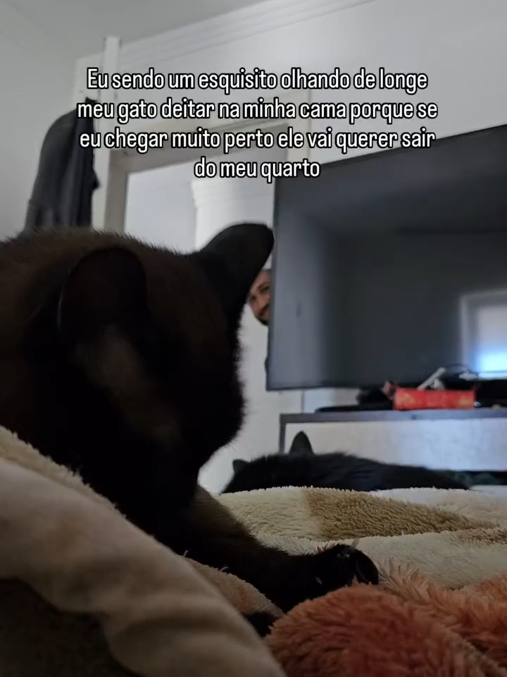 Ele claramente sentindo a presença maligna