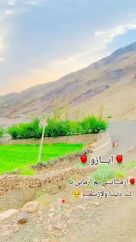 ارمـــانـــی یم ارمانی بہ  لــہ دنیــا ولاڑسمـــہ🥺🥺🥺🥺🥺🥺🥺🥺🥺🥺🥺🥺🥺🥺🥺🥺🥺🥺🥺 ایــــــازو
