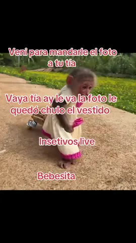 #bebesita #LIVEIncentiveProgram #LIVEStory #PaidPartnership 