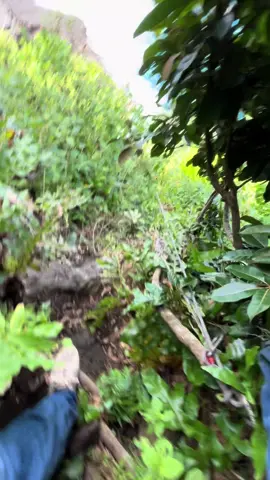 🤮🤮#rockfishingtrenggalek #rockfishing #mancingmania #pantaivibes 