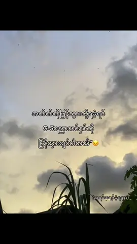 အရမ်းလွမ်းတယ်သူငယ်ချင်းတွေနဲ့ပျော်စရာအချိန်လေးကို#fyp 