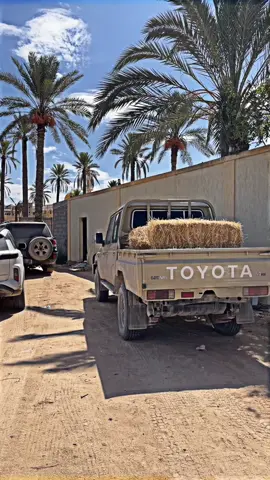 #كتيبة_المقارع🔥 #الشركسي_فنص🔥 #ولد_عيت_فنص😍🔥 #مصراته_الصمود🇱🇾🇱🇾🔥😌 