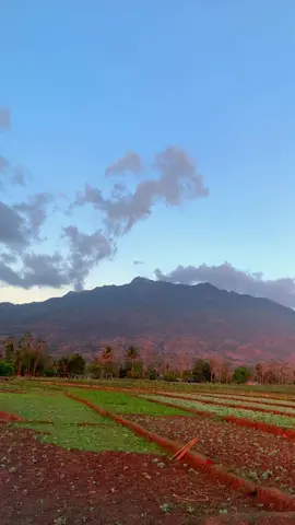 #timorleste🇹🇱 #maliana #ramascora #fyp #kefamenanuttu 