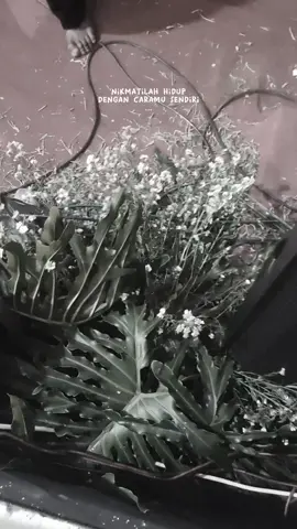 goyang tanpa batas #masukberandafypdongg#berandatiktok #virallllllllllll 