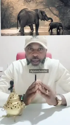 Do this if your things are blocked #spiritualcleansing #favour #cleansing #spirituality #knowledge 