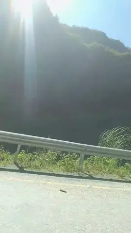 ♥️♥️♥️♥️