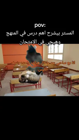 المستر بيشرح اهم درس أنا وصاحبي:#مدرسة #مدرسه #kero🔥🌶️ #pov #مدارس 