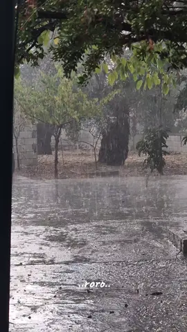 #شتي #ايلول #اليسا #explor #viral 