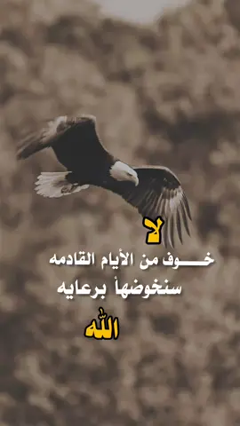 #تصميم_فيديوهات🎶🎤🎬 #اكسبلورexplore #اكسبلورexplore #اكسبلورexplore #اكسبلورexplore 