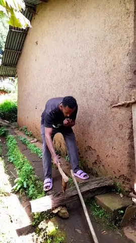 #funny #ethiopantiktok🇪🇹🇪🇹🇪🇹🇪🇹 #commedy #4you #viraltiktok 
