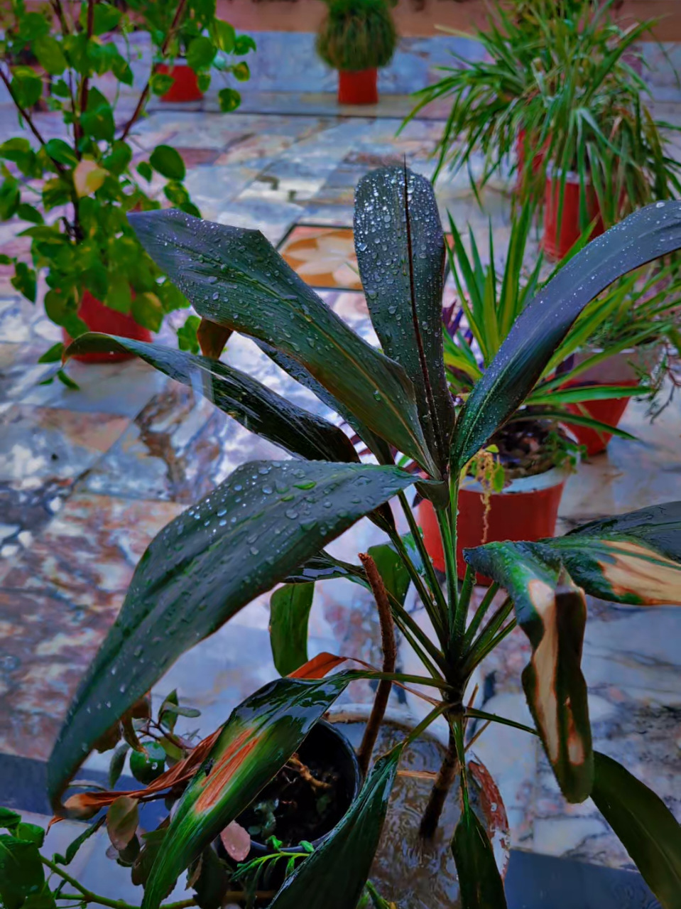 home in mountain  #fyp #treanding #foryoupage❤️❤️ #viralvideos #grow 