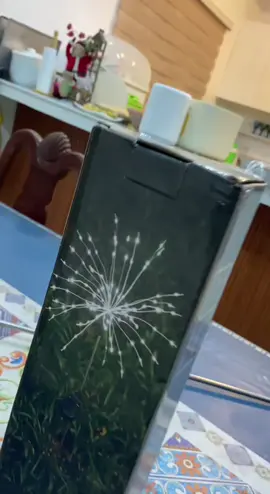 Solar Firework Lights #solarlights #gardenlights #solarfireworklights 